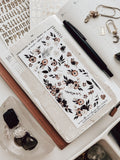 We Are the Weirdos, Mister Decorative Kit