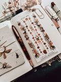 Rudeneja Decorative Kit
