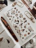 Spectral Spaces Decorative Kit