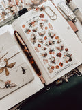 Rudeneja Decorative Kit