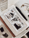 We Are the Weirdos, Mister Decorative Kit