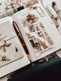 Rudeneja Decorative Kit