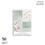 Reveal Collection