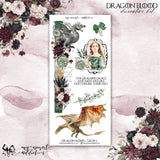 Dragon Blood Decorative Kit