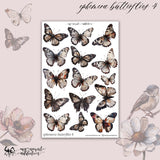 Ephemera Butterflies