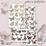 Ephemera Butterflies