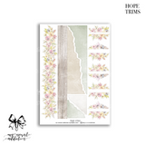 Hope Collection