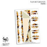 Nature's Bounty Collection