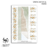 Spring Revival Collection
