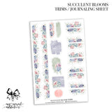 Succulent Blooms Collection