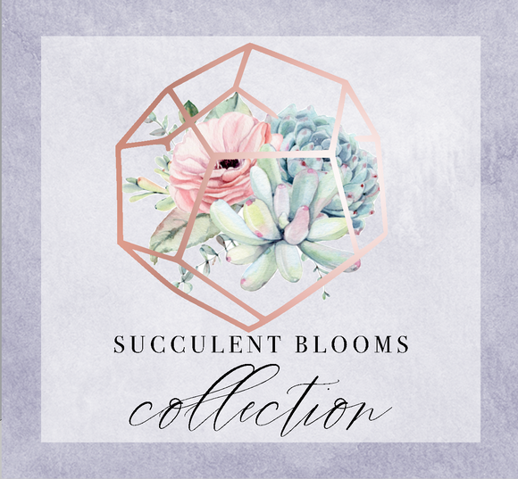 Succulent Blooms Collection