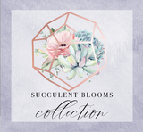 Succulent Blooms Collection