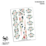 Tomorrow Collection