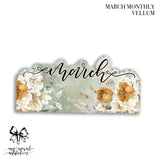 MARCH 2024 MONTHLIES
