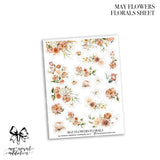 May Flowers Collection