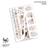 Natural Rose Collection