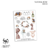 Natural Rose Collection