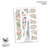 Sassenach Collection
