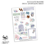 Succulent Blooms Collection